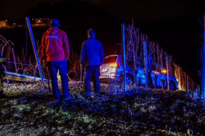 Stuttgart Rotenberg: PKW in Weinberg gerutscht